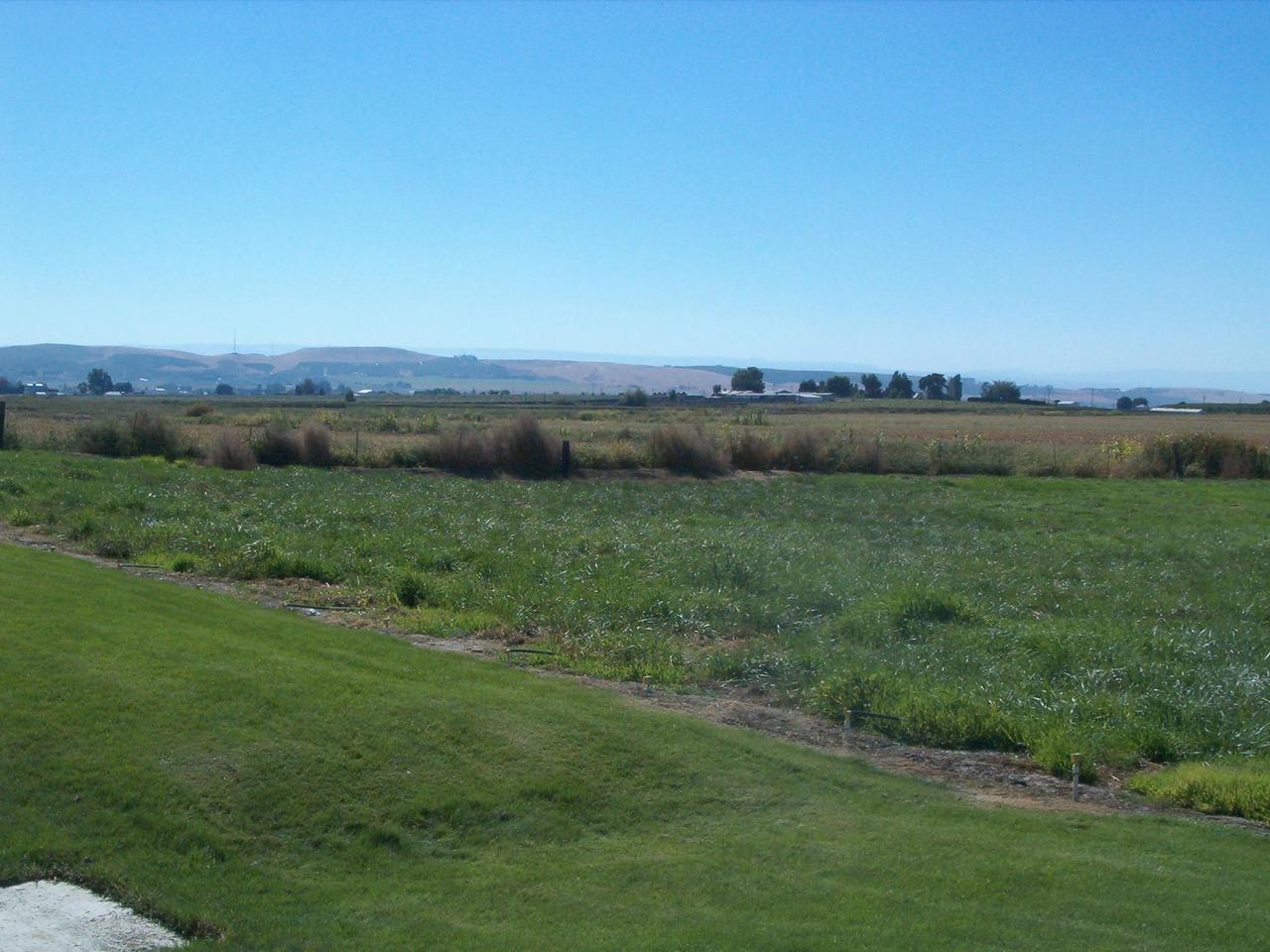 2510 Maple Grove Road Sunnyside, WA 98944 - Photo 3 of 9 a view of a lush green field