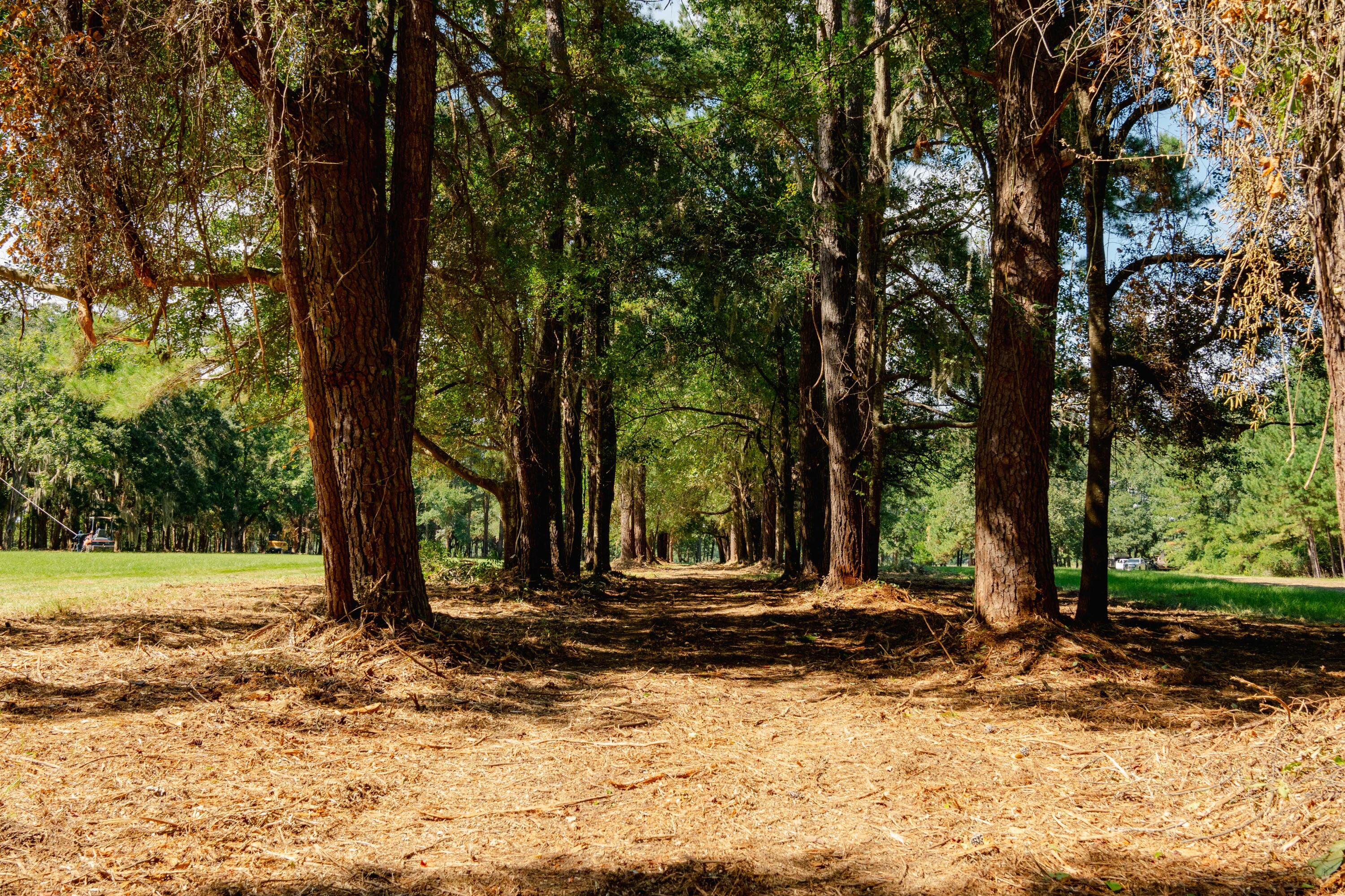 0 Hoopstick Island Road, Unit LOT 1 Johns Island, SC 29455 - Photo 11 of 18 Land