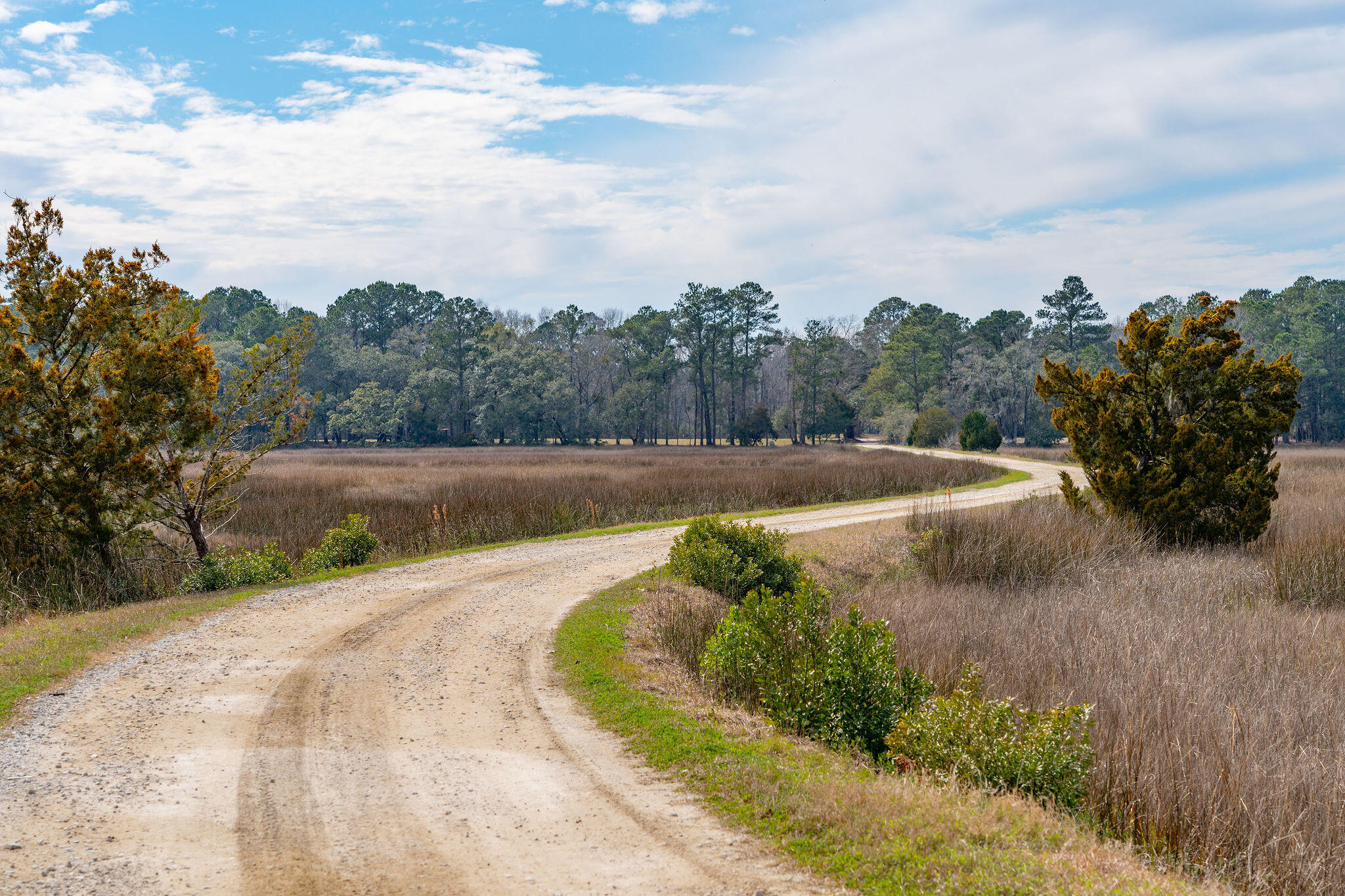 0 Hoopstick Island Road, Unit LOT 1 Johns Island, SC 29455 - Photo 4 of 18 Road to Island