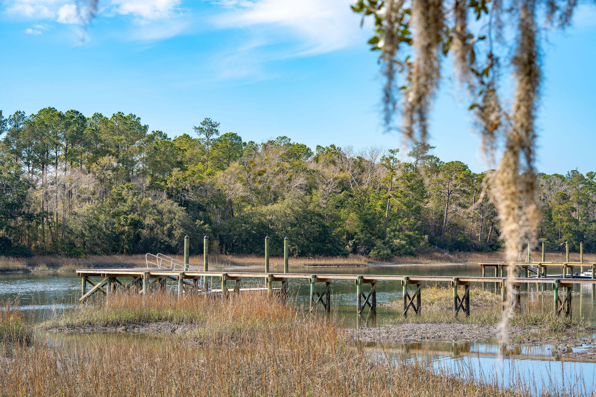 0 Hoopstick Island Road, Unit LOT 1 Johns Island, SC 29455 - Photo 5 of 18 Dock