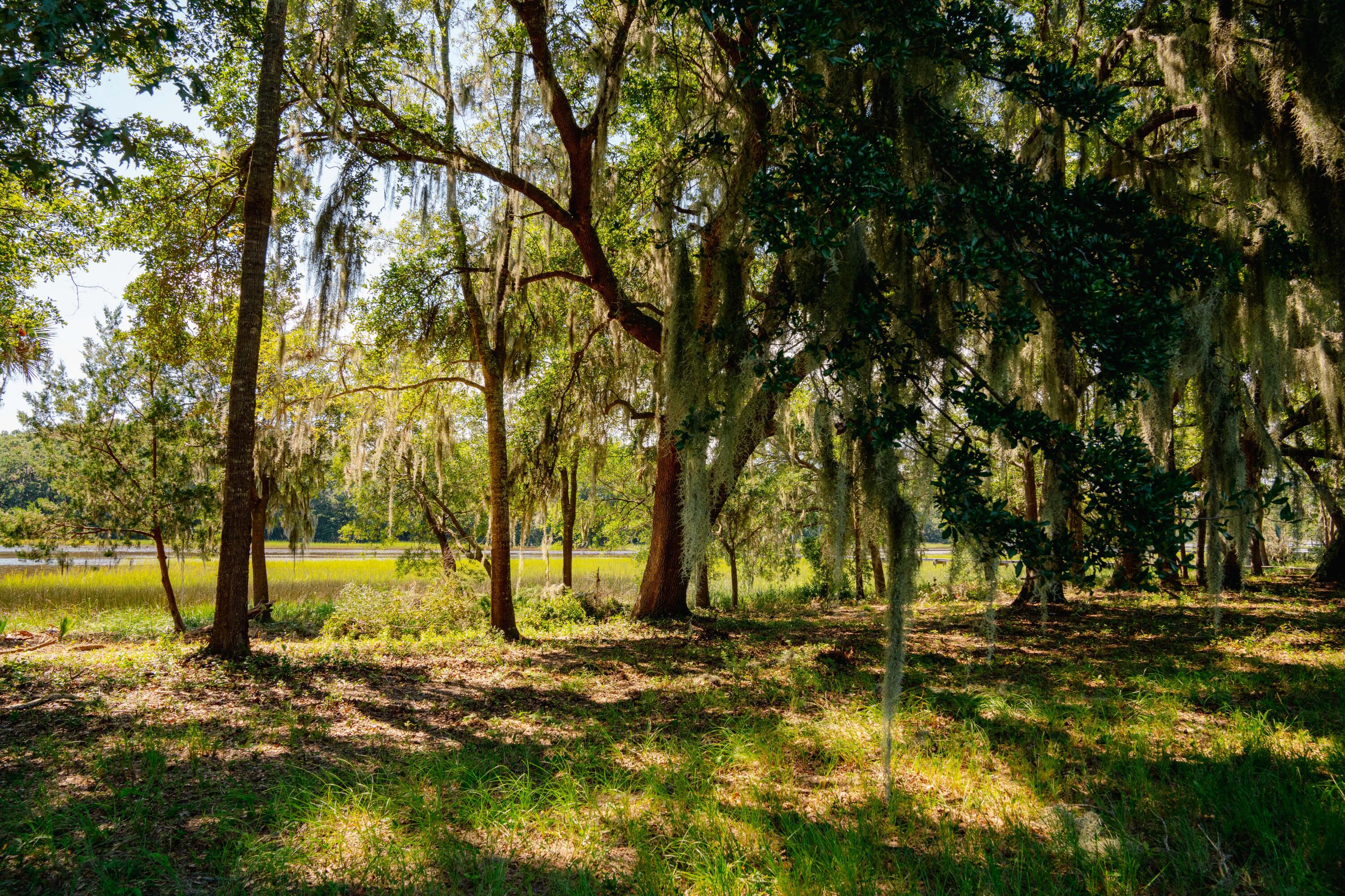 0 Hoopstick Island Road, Unit LOT 1 Johns Island, SC 29455 - Photo 10 of 18 Land