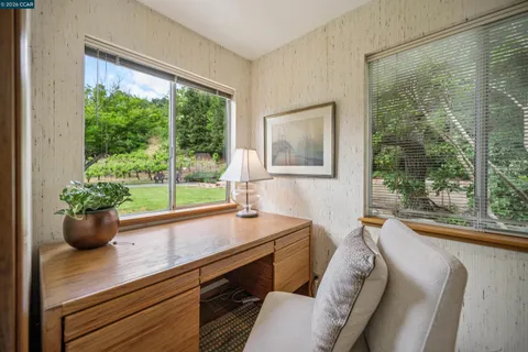 a plant with a plant