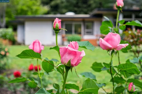 $6,800,000 | 3814 Happy Valley Road, Lafayette, CA 94549