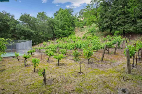 $6,800,000 | 3814 Happy Valley Road, Lafayette, CA 94549