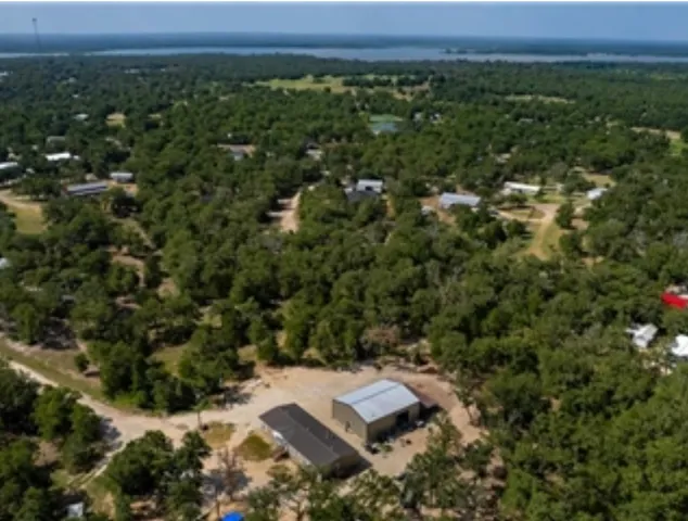 a view of a tree in a yard