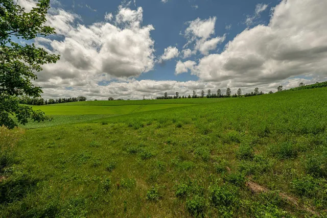 $265,000 | Lot 7 9.72 Acres Hefty, Monticello, WI 53570