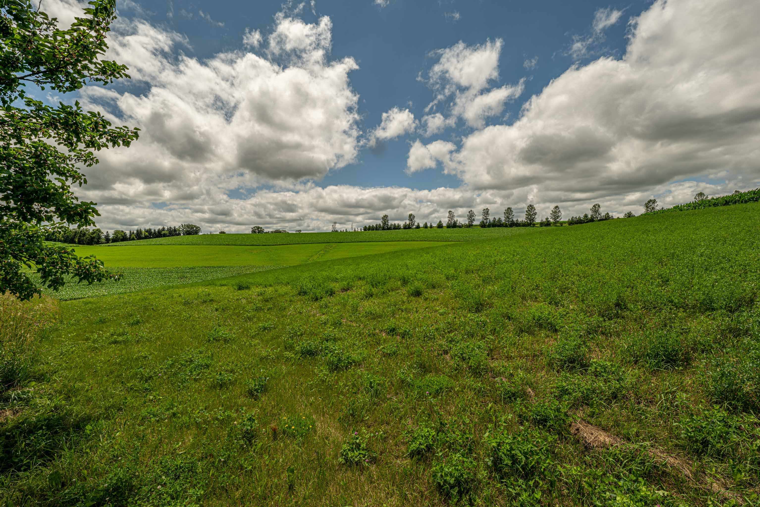 Lot 7 9.72 Acres Hefty Monticello, WI 53570 - Photo 11 of 16
