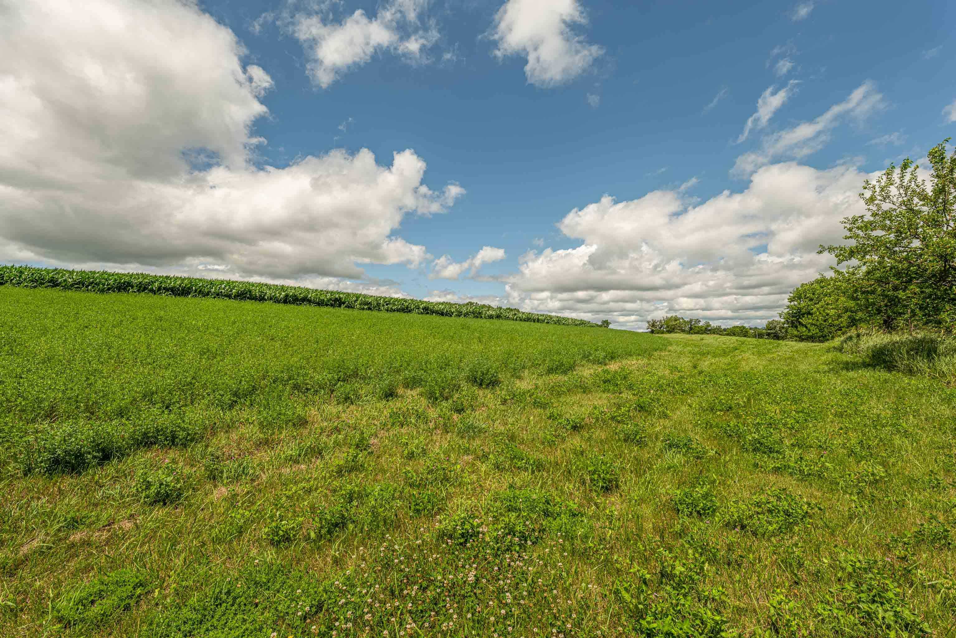 Lot 7 9.72 Acres Hefty Monticello, WI 53570 - Photo 12 of 16
