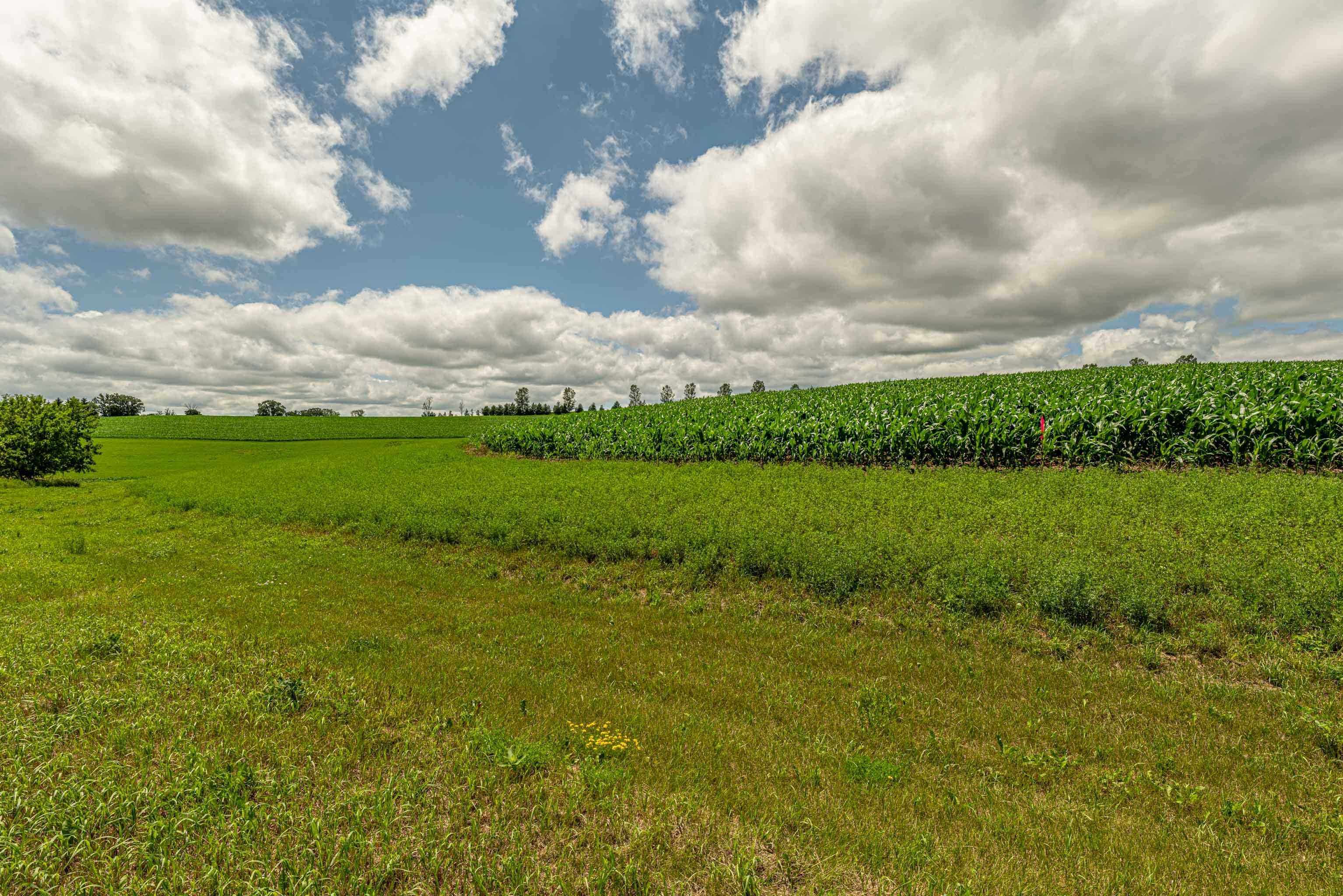 Lot 7 9.72 Acres Hefty Monticello, WI 53570 - Photo 13 of 16
