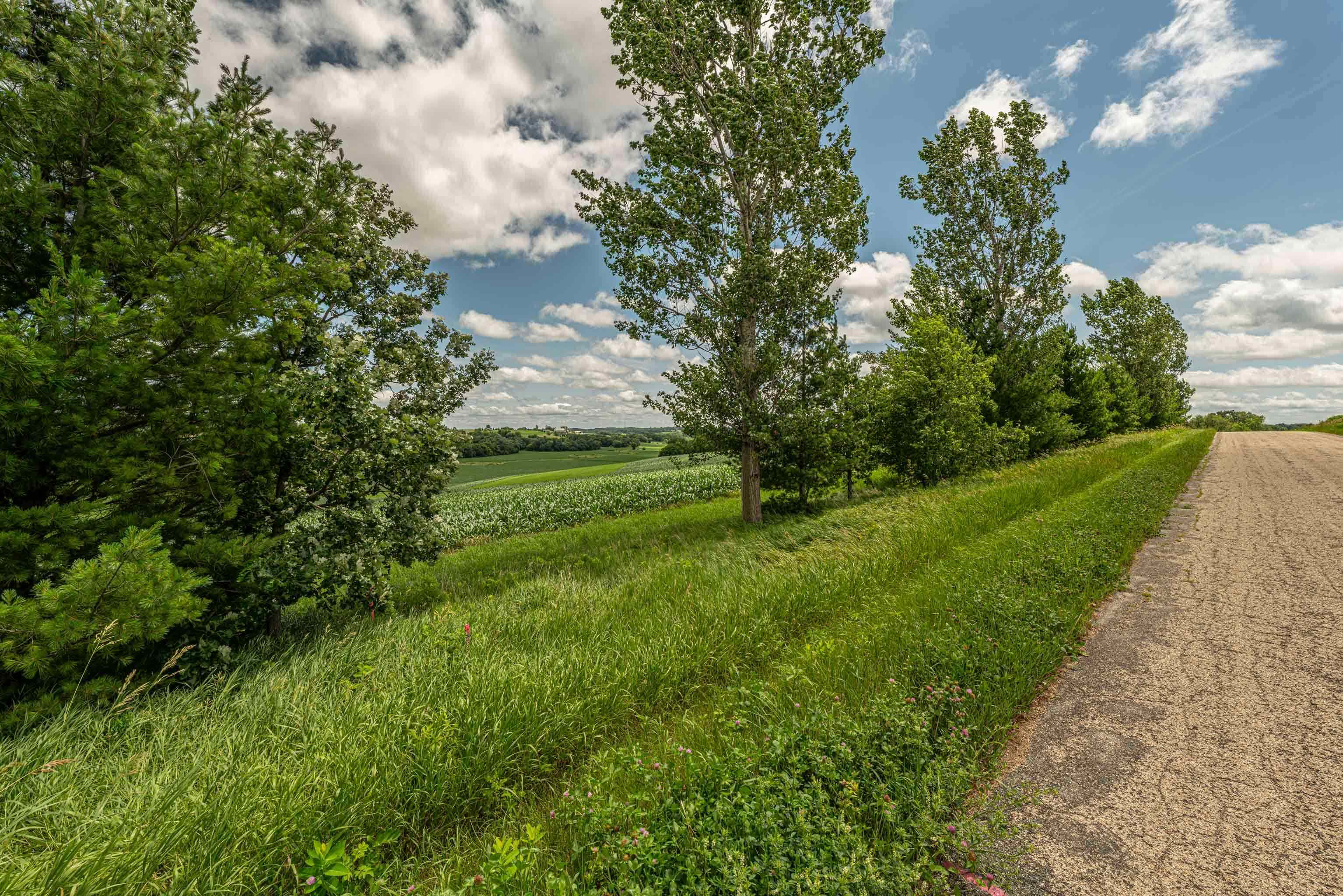Lot 7 9.72 Acres Hefty Monticello, WI 53570 - Photo 2 of 16