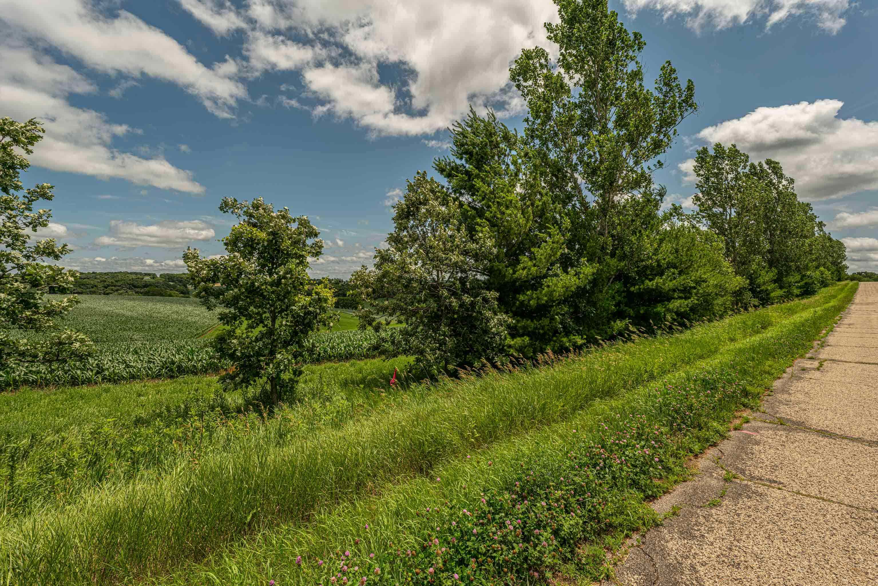 Lot 7 9.72 Acres Hefty Monticello, WI 53570 - Photo 3 of 16