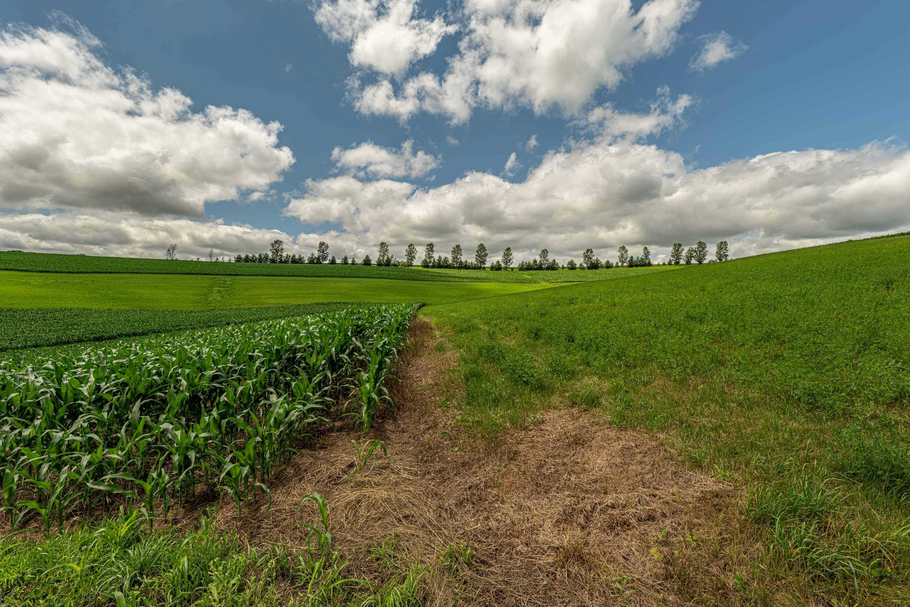 Lot 7 9.72 Acres Hefty Monticello, WI 53570 - Photo 9 of 16