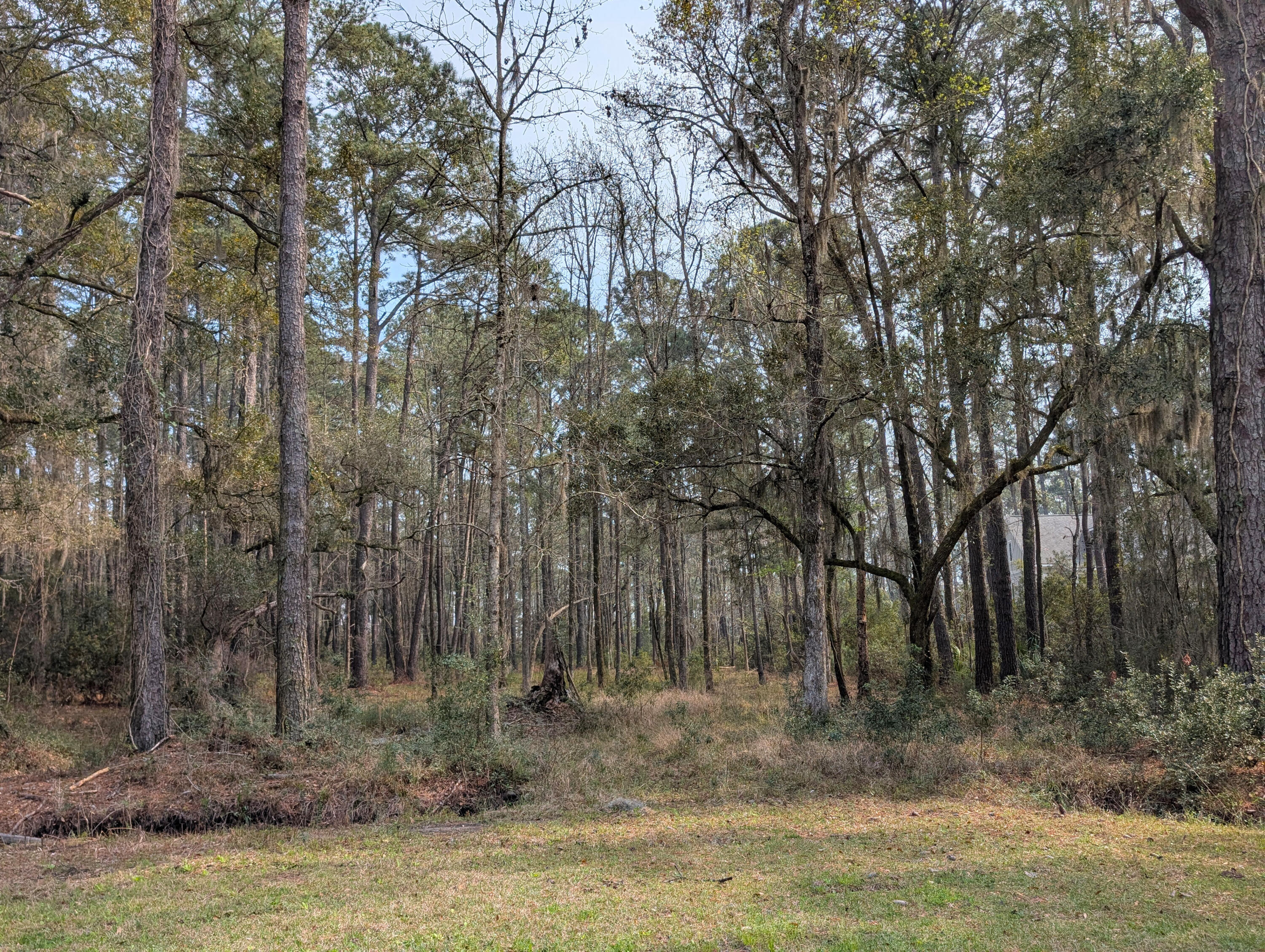 359 McClellan Avenue McClellanville, SC 29458 - Photo 3 of 5 2