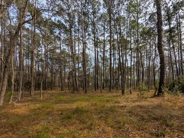 $175,000 | 359 McClellan Avenue, McClellanville, SC 29458