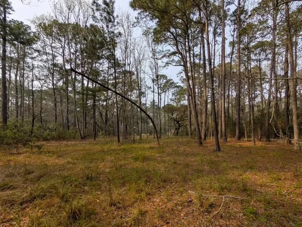 $175,000 | 359 McClellan Avenue, McClellanville, SC 29458