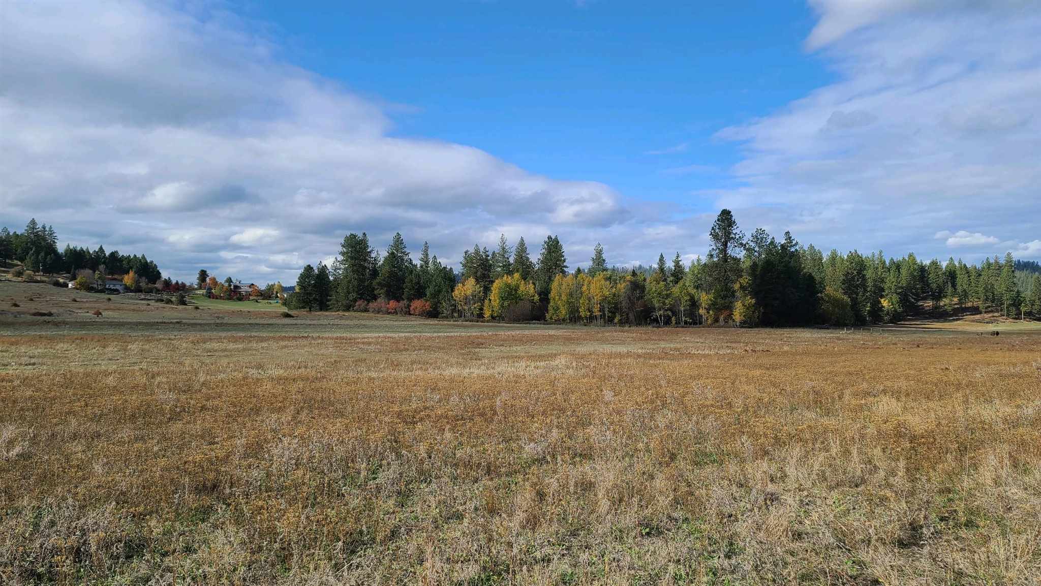 Nna North Dunn Road Colbert, WA 99005 - Photo 3 of 9