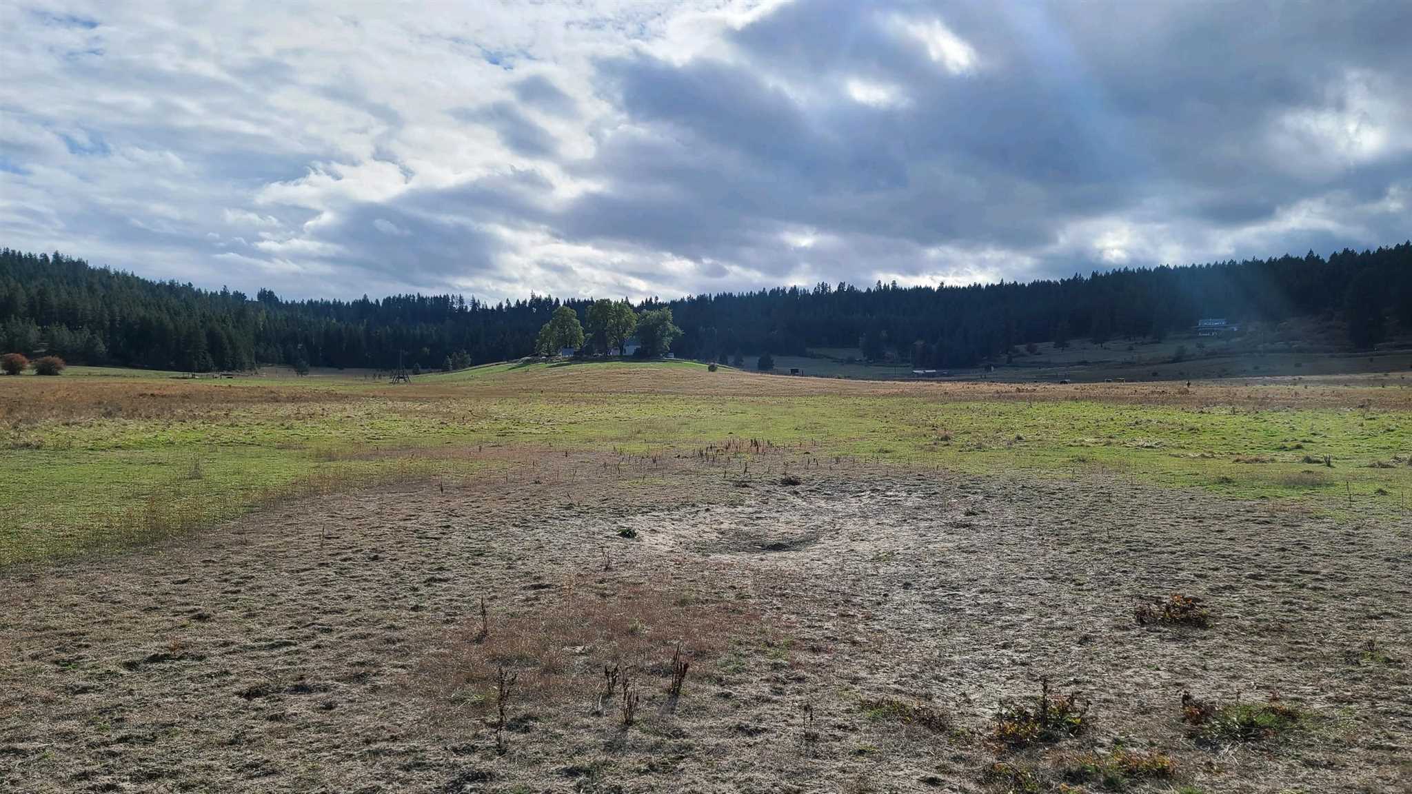 Nna North Dunn Road Colbert, WA 99005 - Photo 4 of 9