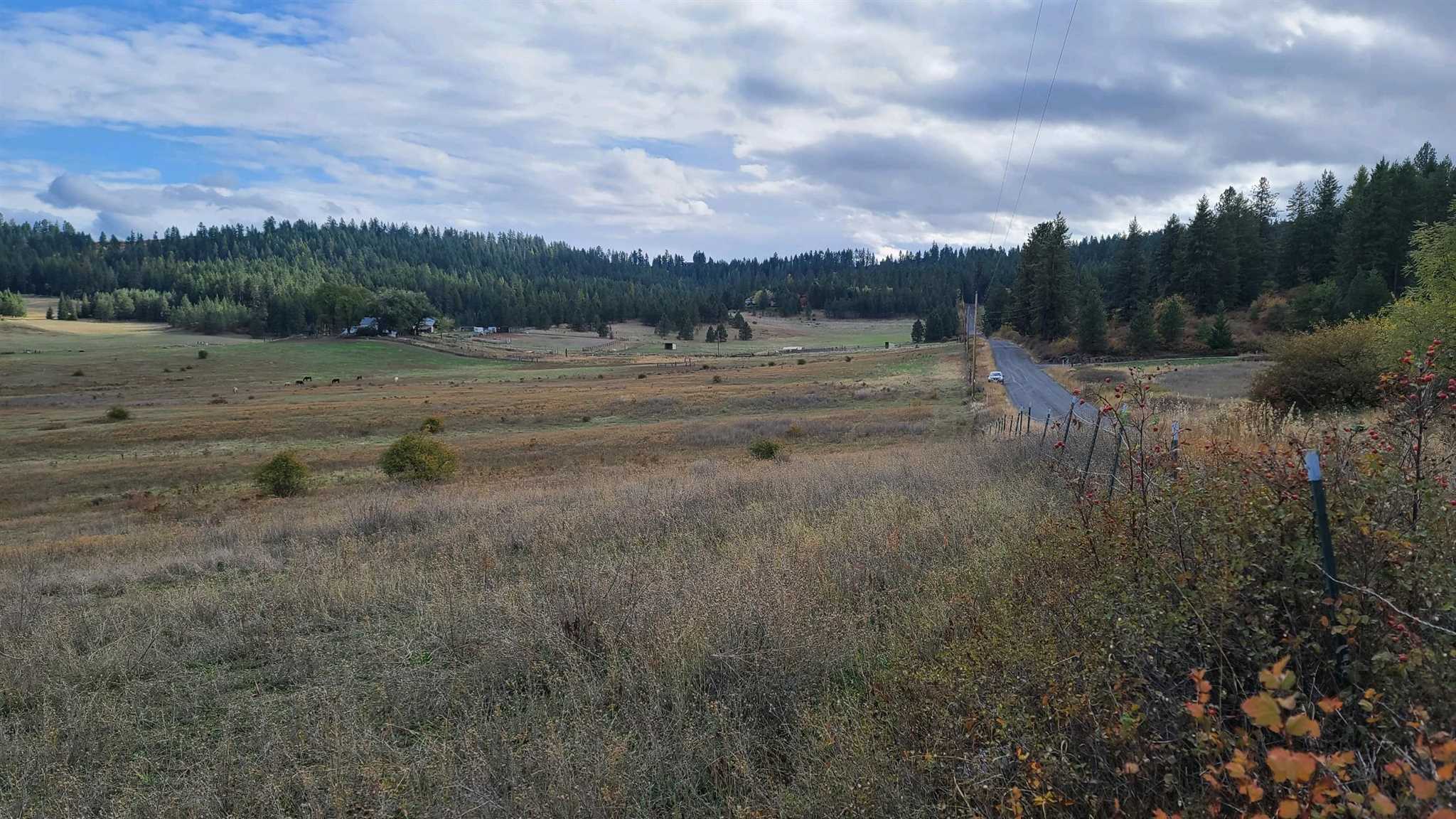 Nna North Dunn Road Colbert, WA 99005 - Photo 8 of 9