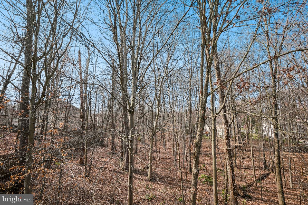 6 Hackett Court Poolesville, MD 20837 - Photo 49 of 53 Exterior Rear
