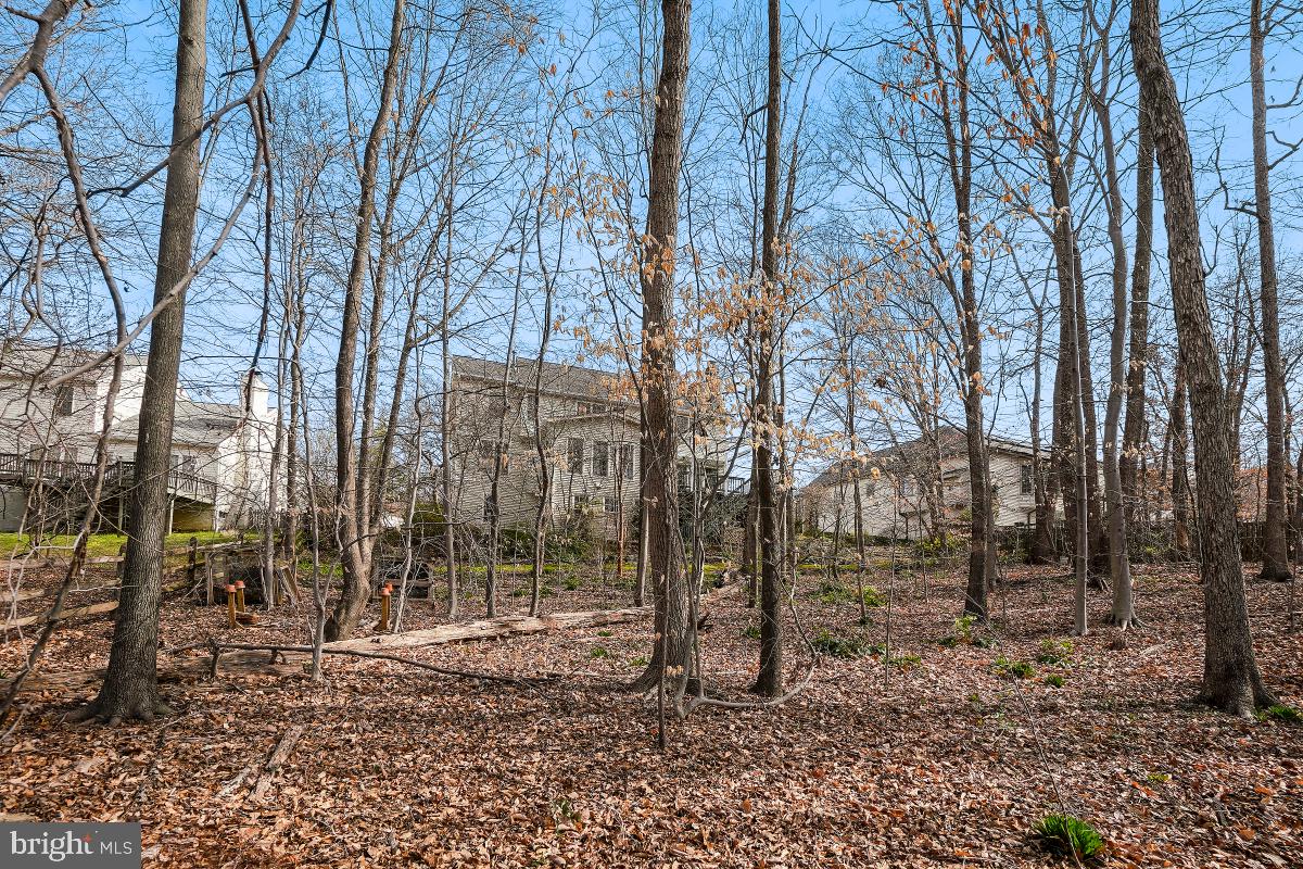 6 Hackett Court Poolesville, MD 20837 - Photo 50 of 53 Exterior Rear