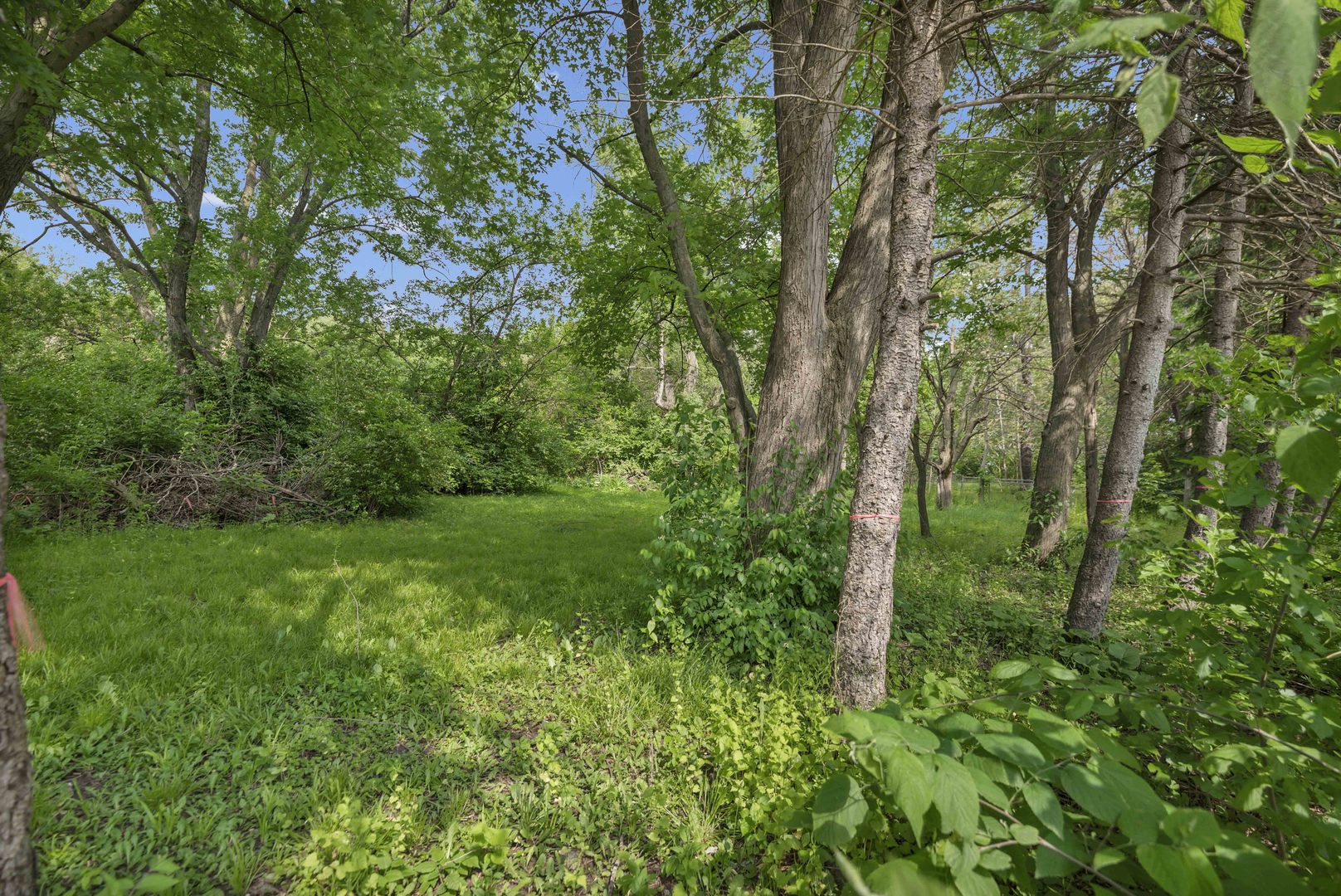 2623 Essington Road Joliet, IL 60435 - Photo 5 of 14