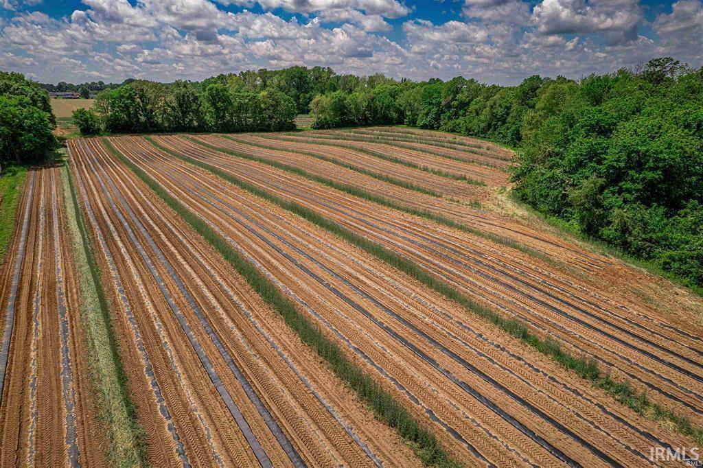 0 West Broadway Street Princeton, IN 47670 - Photo 3 of 7