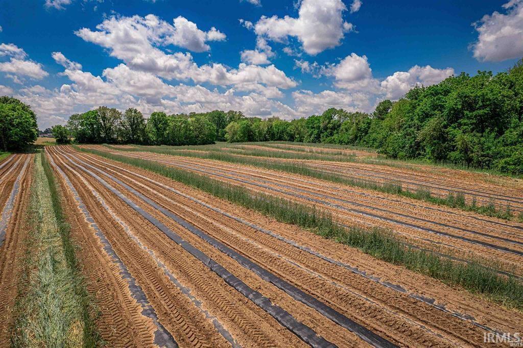 0 West Broadway Street Princeton, IN 47670 - Photo 4 of 7