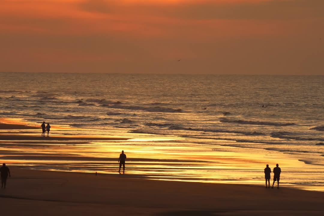 1699 East Ashley Avenue, Unit B Folly Beach, SC 29439 - Photo 78 of 85 Morning sunrise