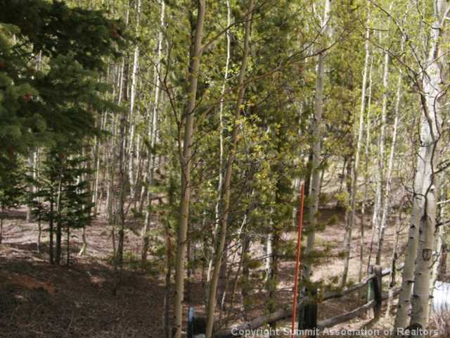 346 Pcr 665 Road Fairplay, CO 80440 - Photo 24 of 25 Land.