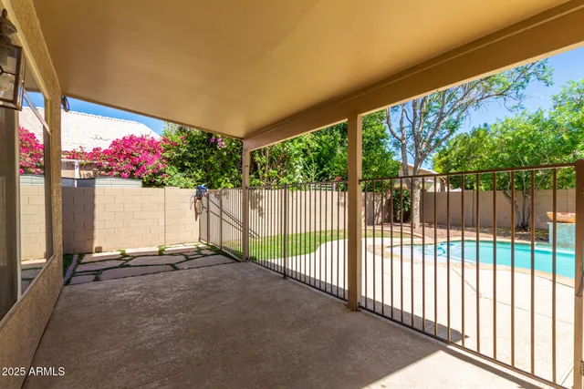 a view of a backyard with a large trees