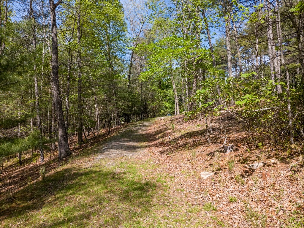 Lot 11 Ridge Line Trail, Unit 11 Independence, VA 24348 - Photo 23 of 40 Gallery Image 23