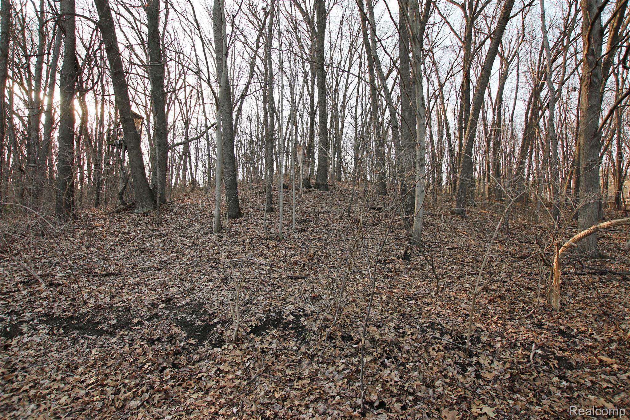 1085 Bird Road Ortonville, MI 48462 - Photo 78 of 79 78) Property Trails.jpg