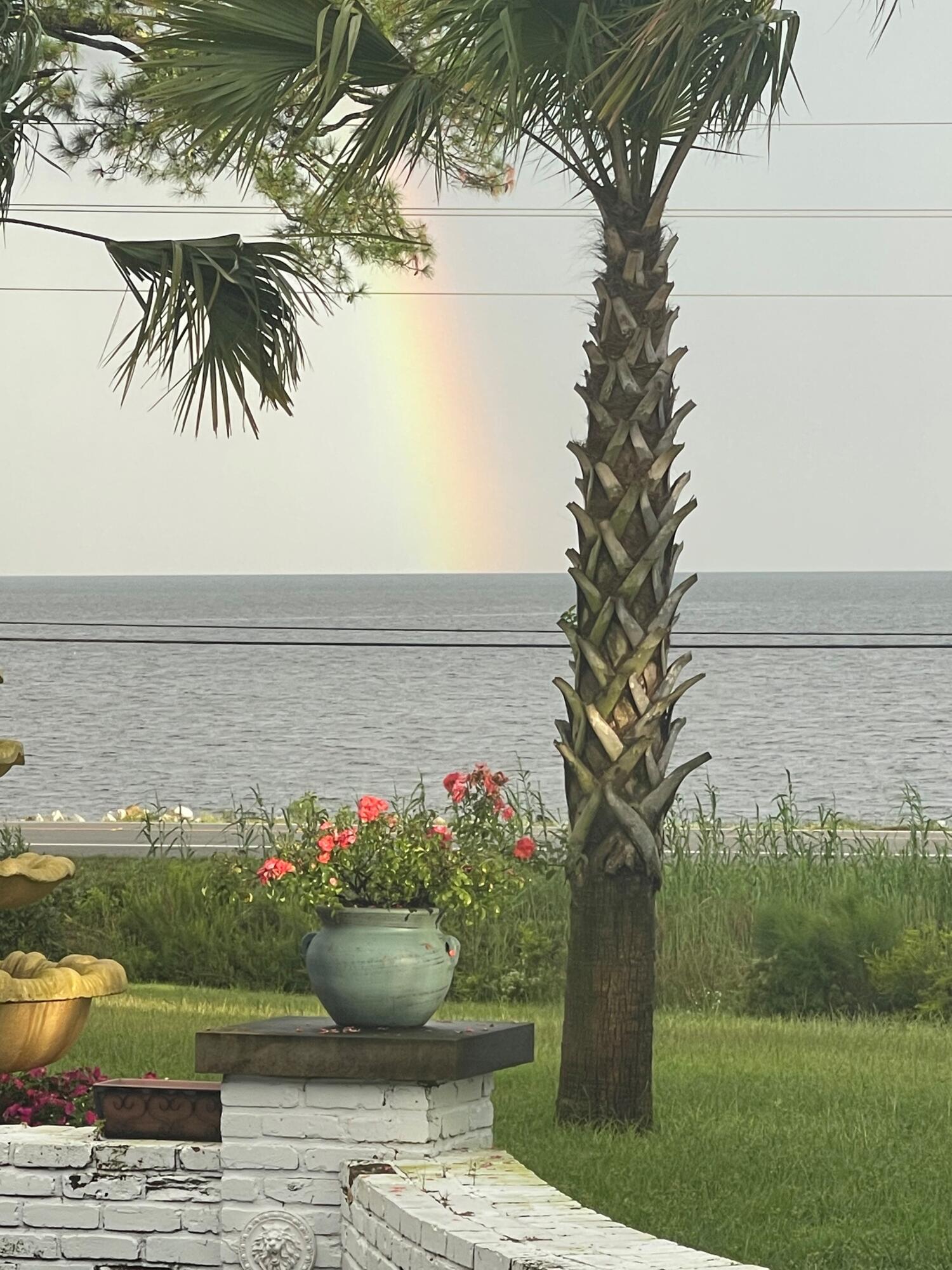13000 Highway 20 Freeport, FL 32439 - Photo 29 of 31 a view of a garden with a lake