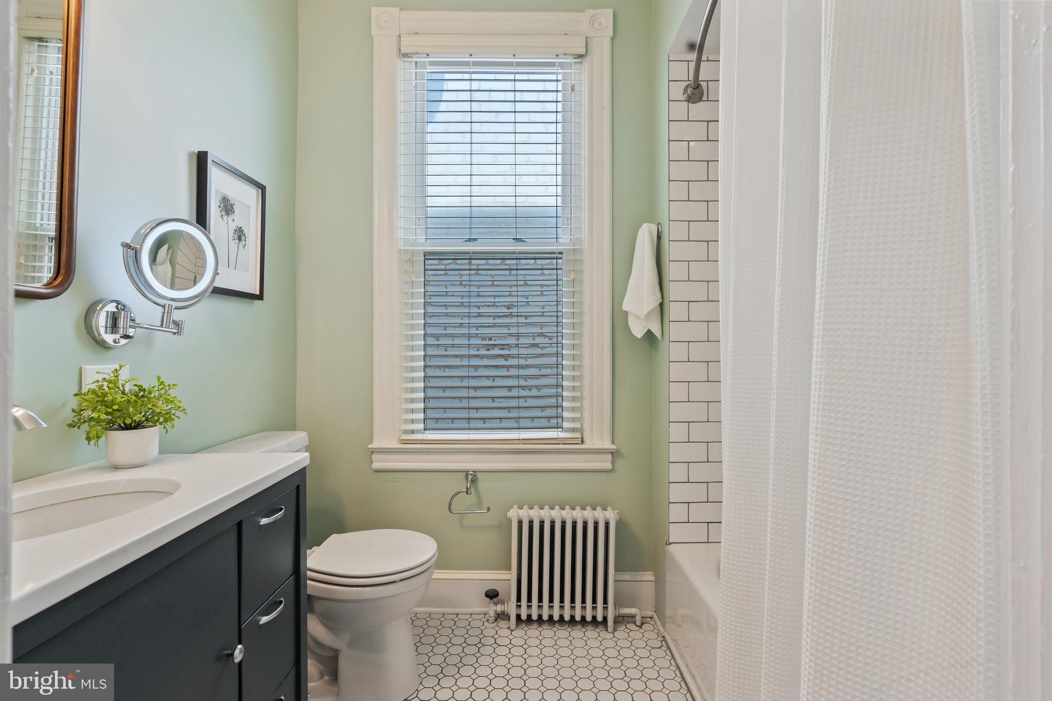 705 7th Street Northeast Washington, DC 20002 - Photo 30 of 48 a bathroom with a sink and a toilet
