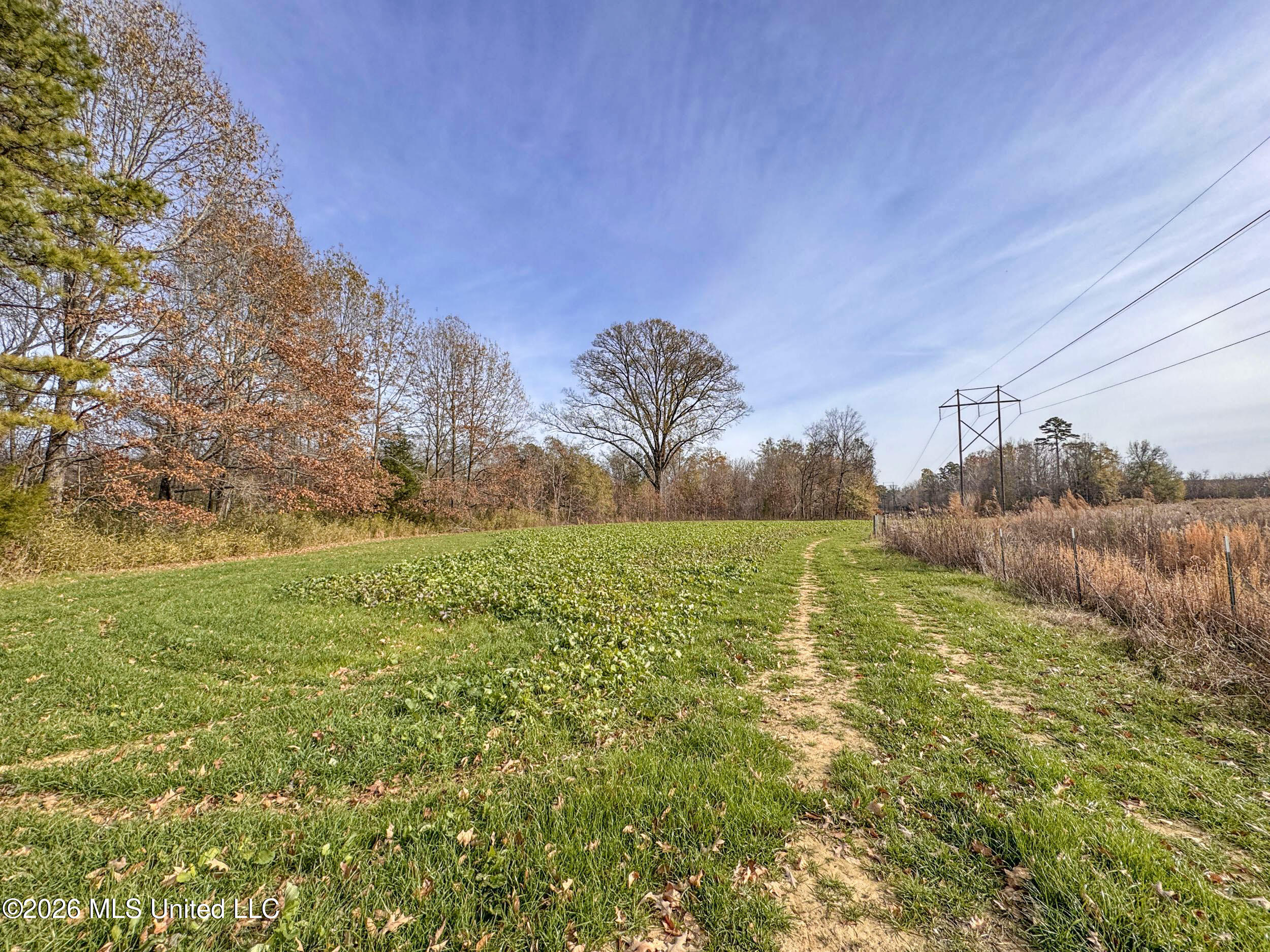Chinqupin Road Lexington, MS 39095 - Photo 146 of 210 9chqpn58