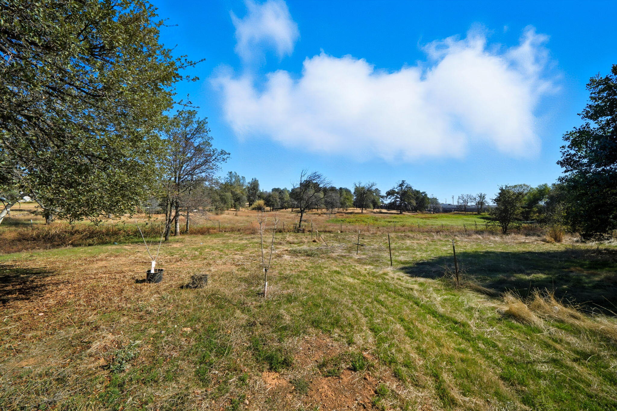 10095 Frazier Road Redding, CA 96003 - Photo 29 of 46 30-web-or-mls-IMG-30