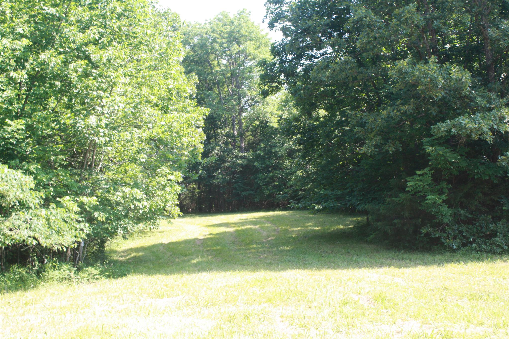67 Africa Road Lebanon, TN 37087 - Photo 14 of 22