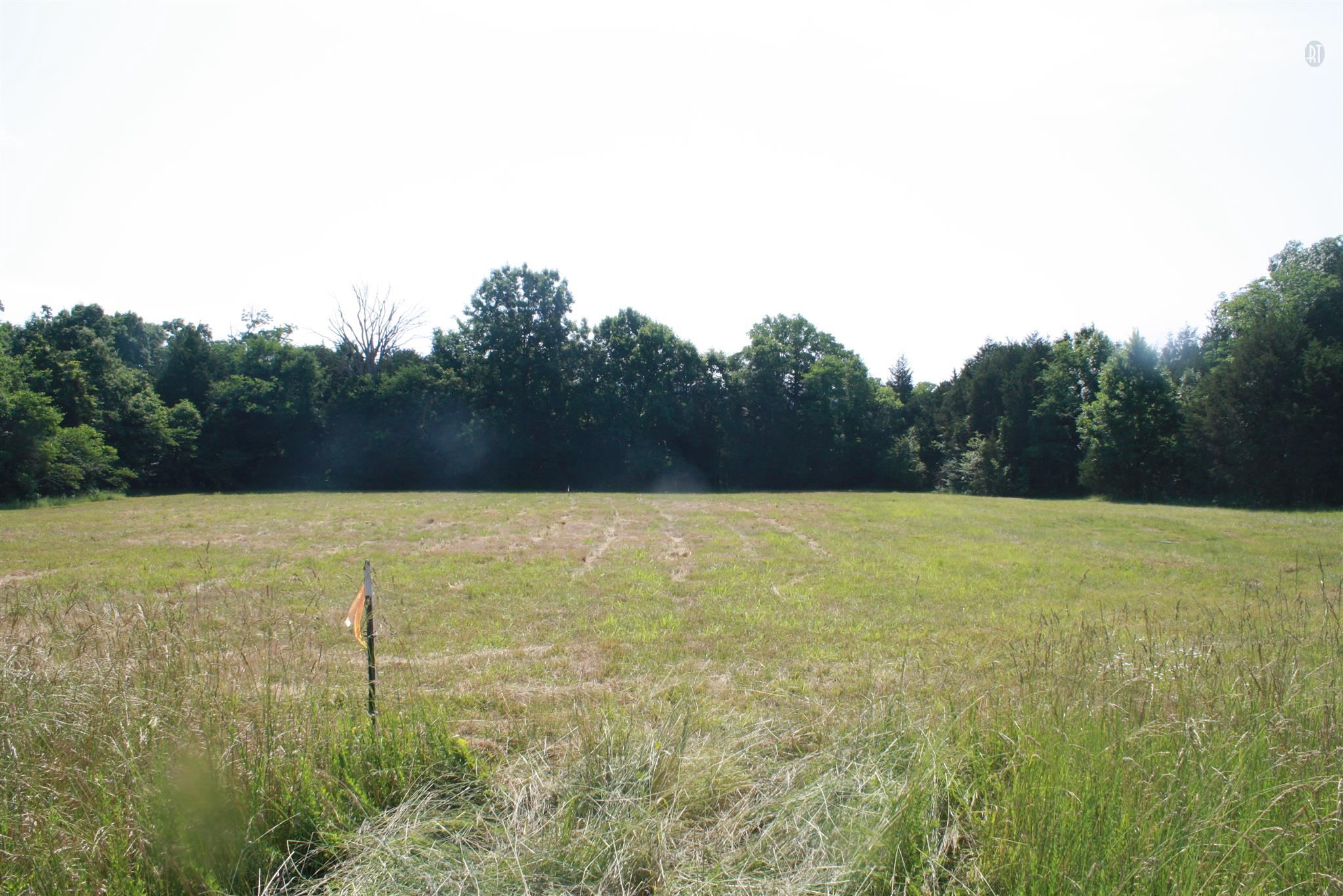 67 Africa Road Lebanon, TN 37087 - Photo 22 of 22 a view of a yard