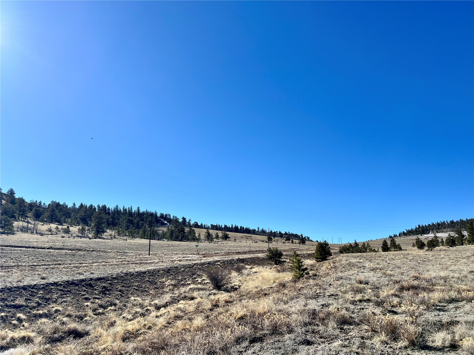 Tbd Chickasaw Road Hartsel, CO 80449 - Photo 10 of 23 View of yard with a rural view