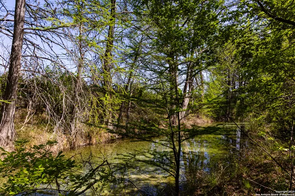 $579,000 | 816 Cornelius Road, Utopia, TX 78884