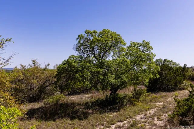 $579,000 | 816 Cornelius Road, Utopia, TX 78884