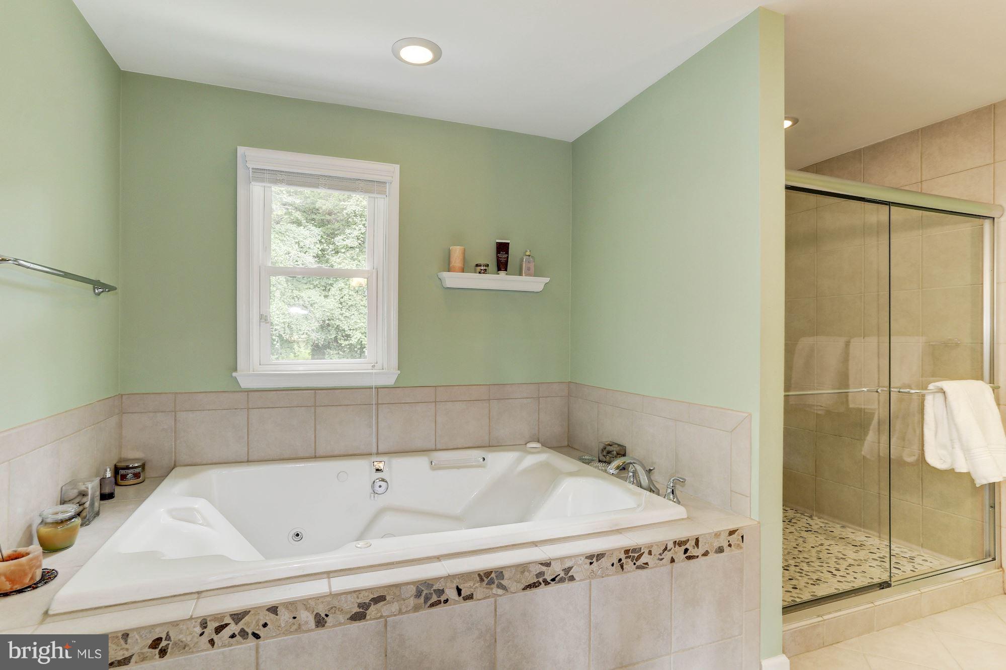 16204 Whitehaven Road Silver Spring, MD 20906 - Photo 20 of 35 Bath (Master)