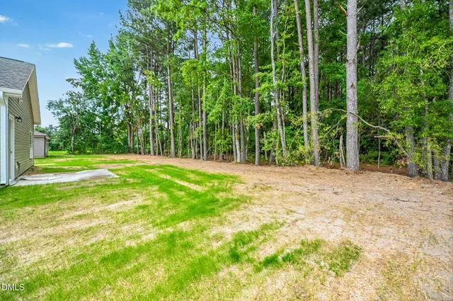 a view of a yard with large trees