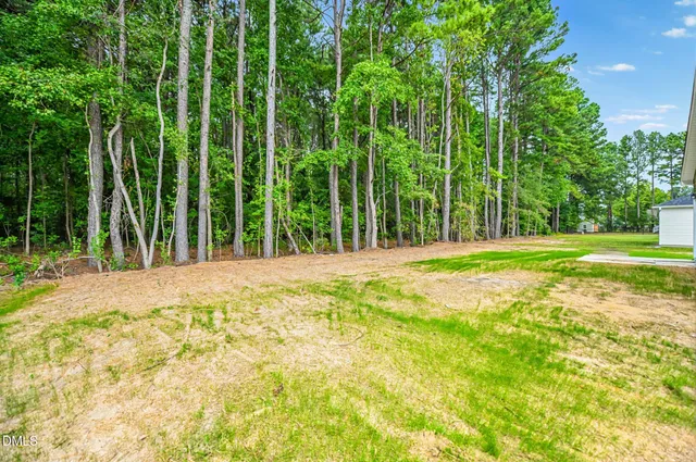 a view of a yard with plants and trees