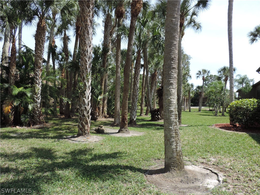 17624 Village Inlet Court Fort Myers, FL 33908 - Photo 17 of 17 a view of a backyard with large trees