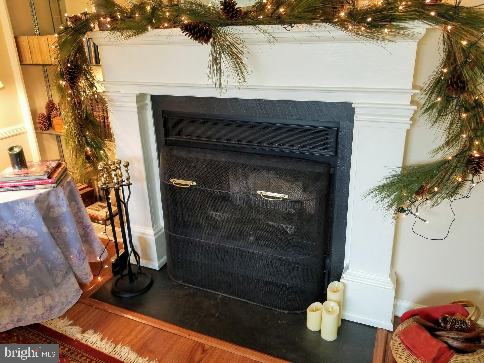 25 Ingham Way New Hope, PA 18938 - Photo 5 of 23 Wood Burning Fireplace