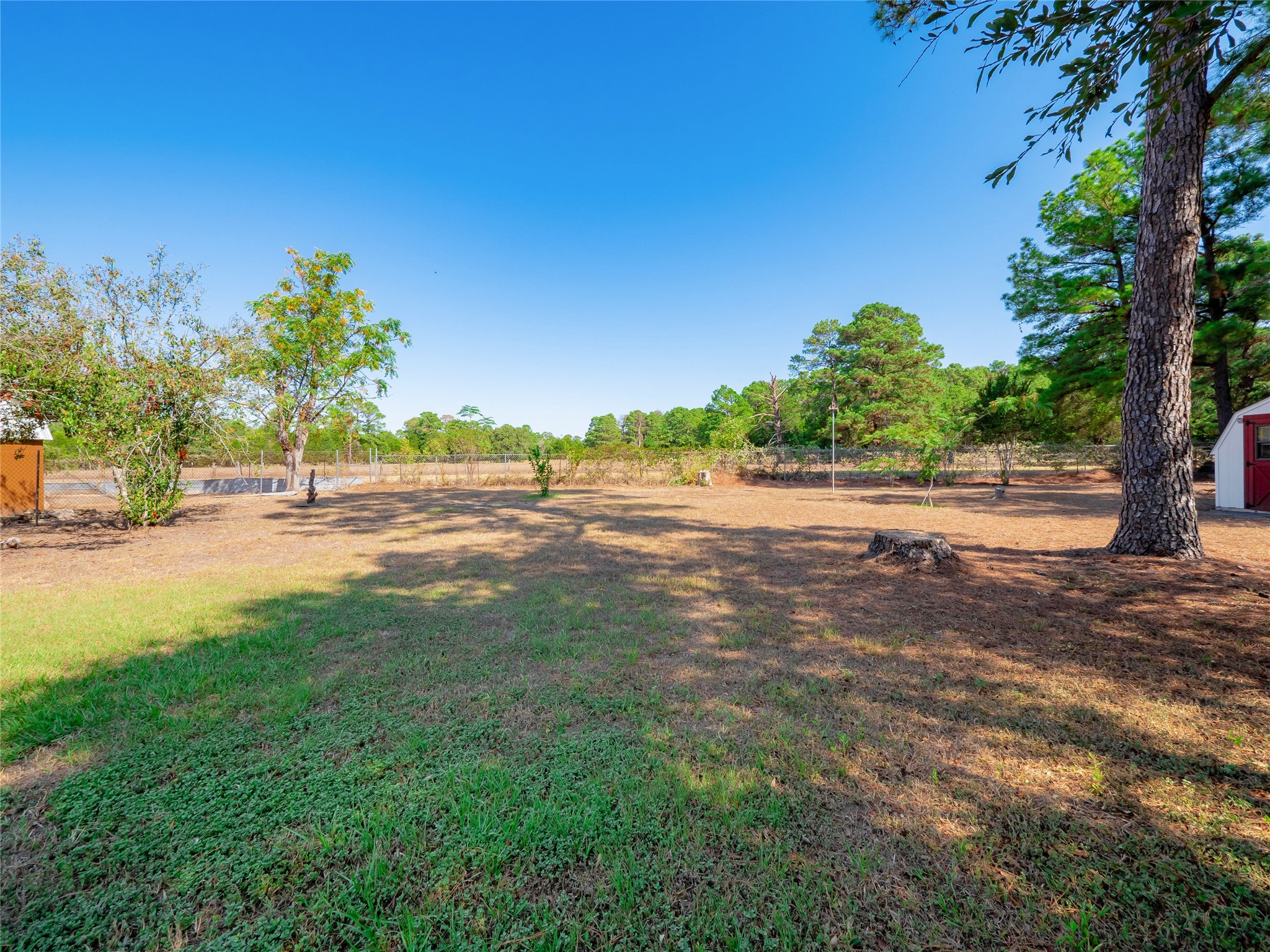 228 Old Firetower Road Bastrop, TX 78602 - Photo 31 of 40 a view of road with grass and trees