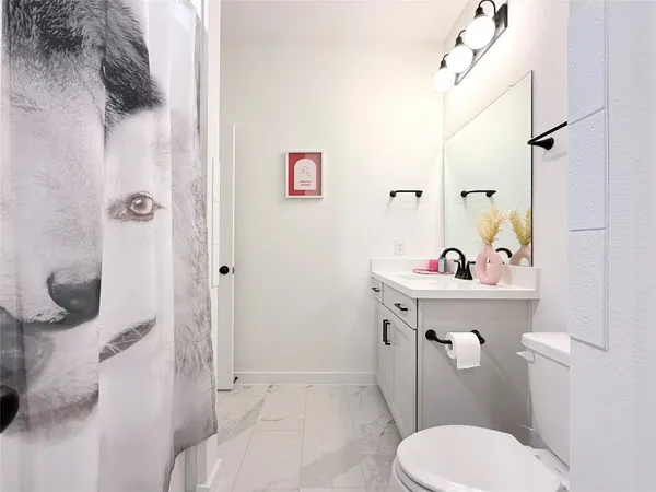 a bathroom with a sink mirror vanity and toilet