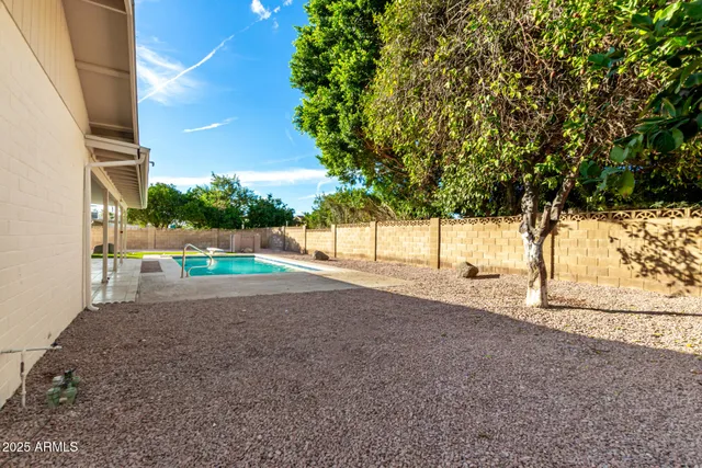 a view of a yard with a tree