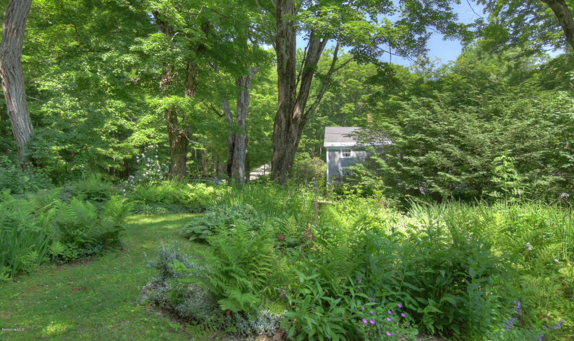 58 Mt Hunger Road Monterey, MA 01245 - Photo 24 of 32 a lush green forest with lots of trees